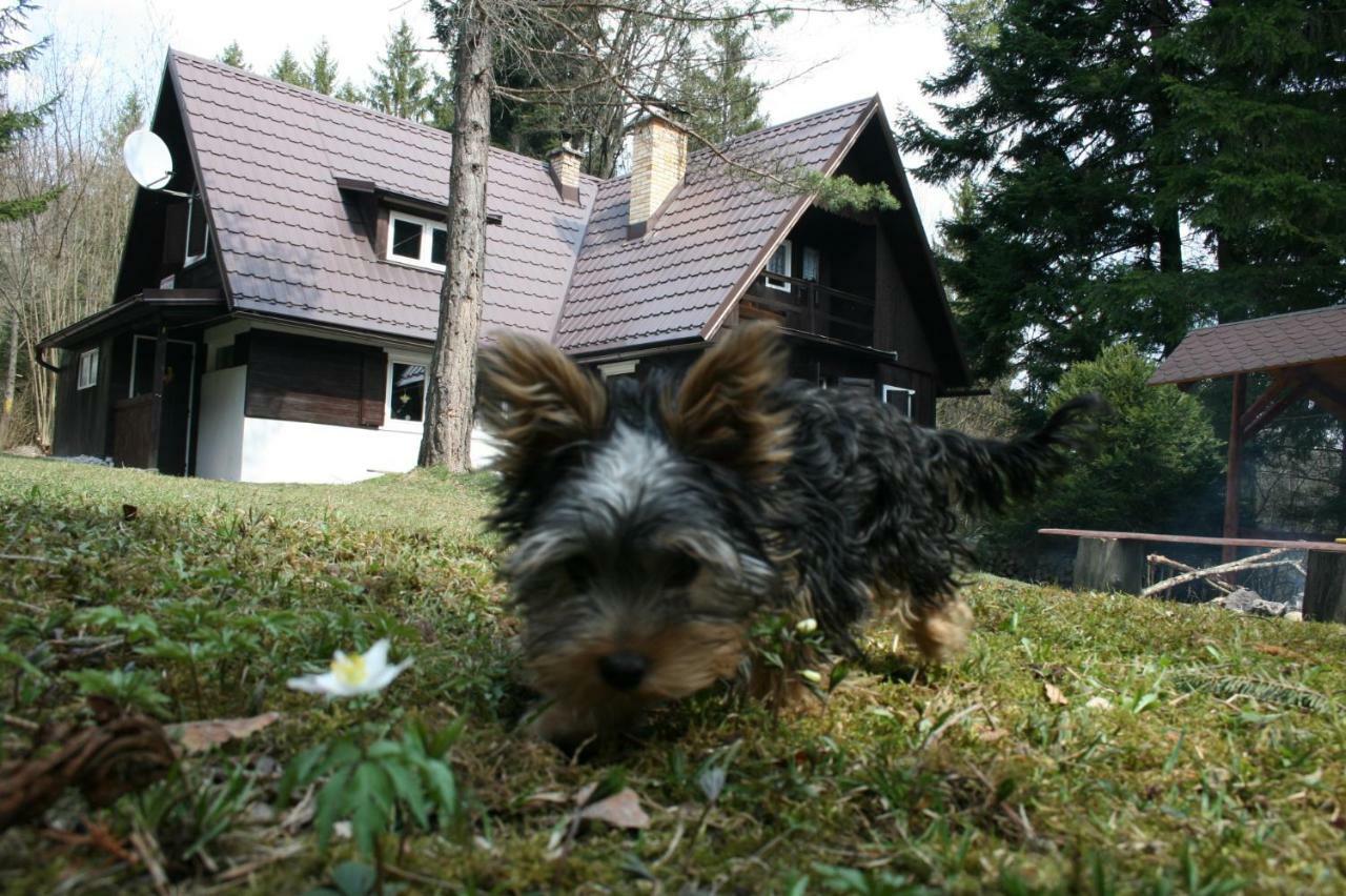 Villa Chata Rusalka Nemecká Exterior foto